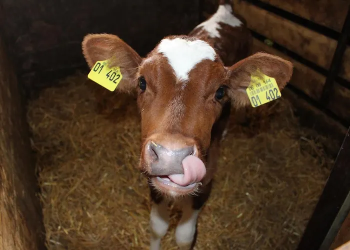 Lehmannshof Apartament *